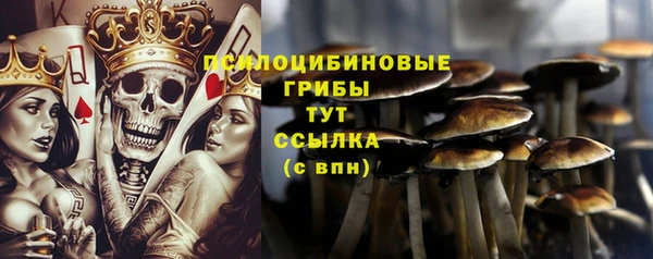 тгк Армянск