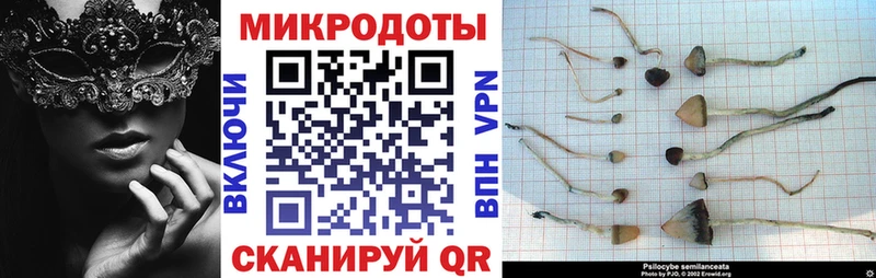 купить наркотики цена  Саяногорск  МЕГА tor  Псилоцибиновые грибы MAGIC MUSHROOMS 